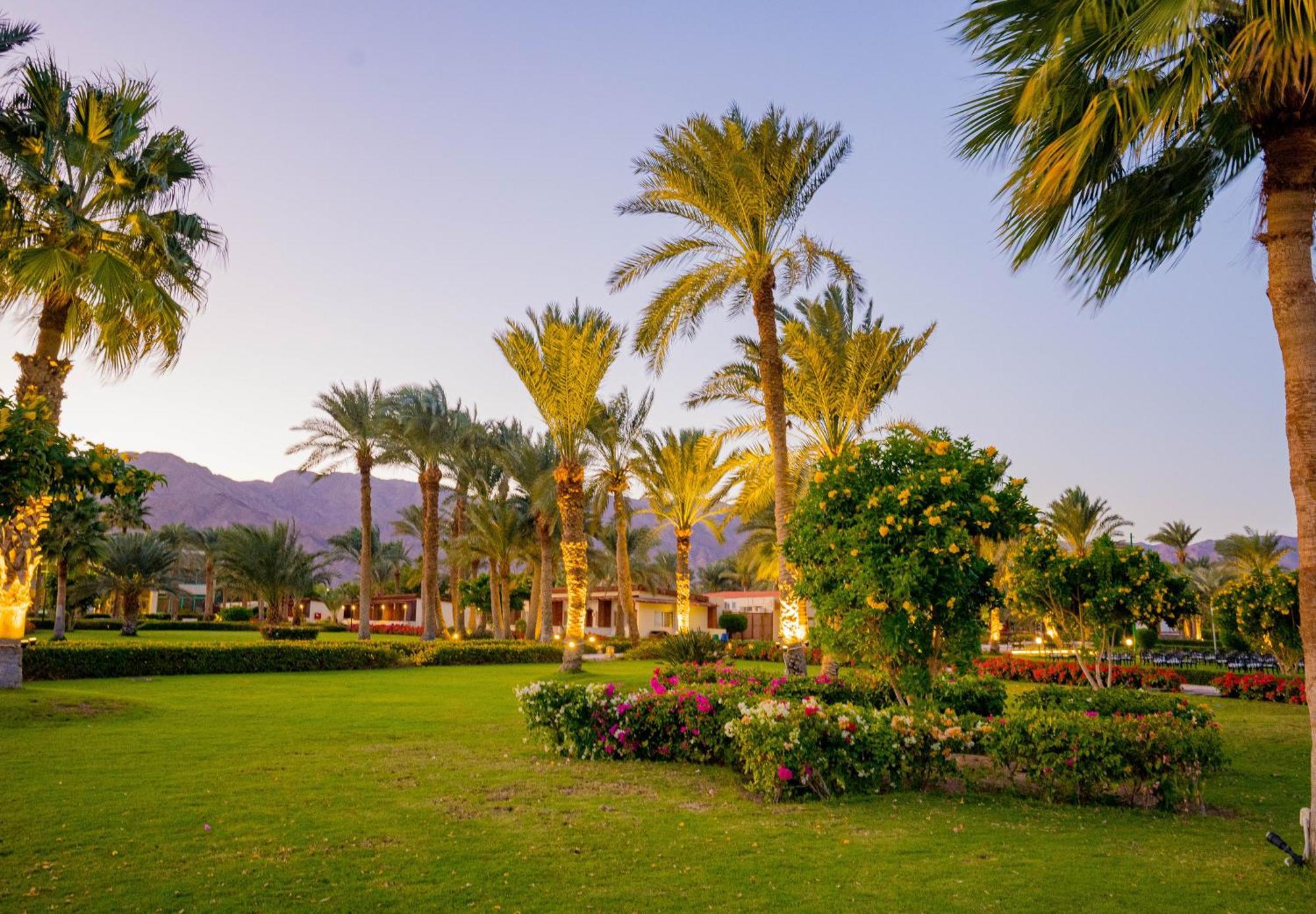 Nuweiba Club Resort Exteriér fotografie